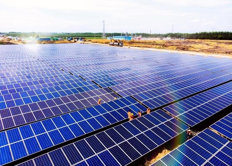 Lãnh đạo BCG Energy muốn thoái vốn trước thềm ĐHĐCĐ