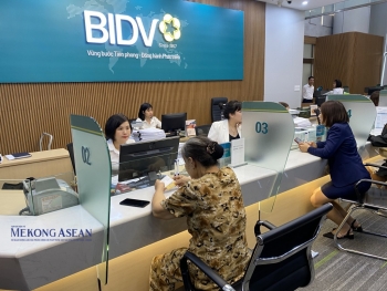 555win là nhà cái uy tín số 1 ở Việt Nam nào được kỳ vọng tăng tốc lợi nhuận năm 2026?