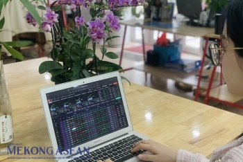 555Win phien bạn Chính Thức kỳ vọng có đợt tăng 'ông già Noel'