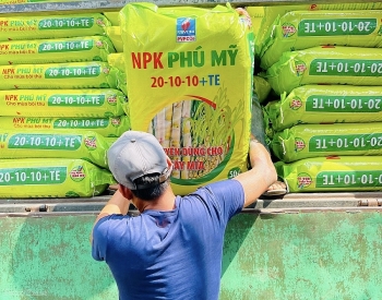 PVFCCo tăng trưởng ấn tượng trong 6 tháng đầu năm 2024