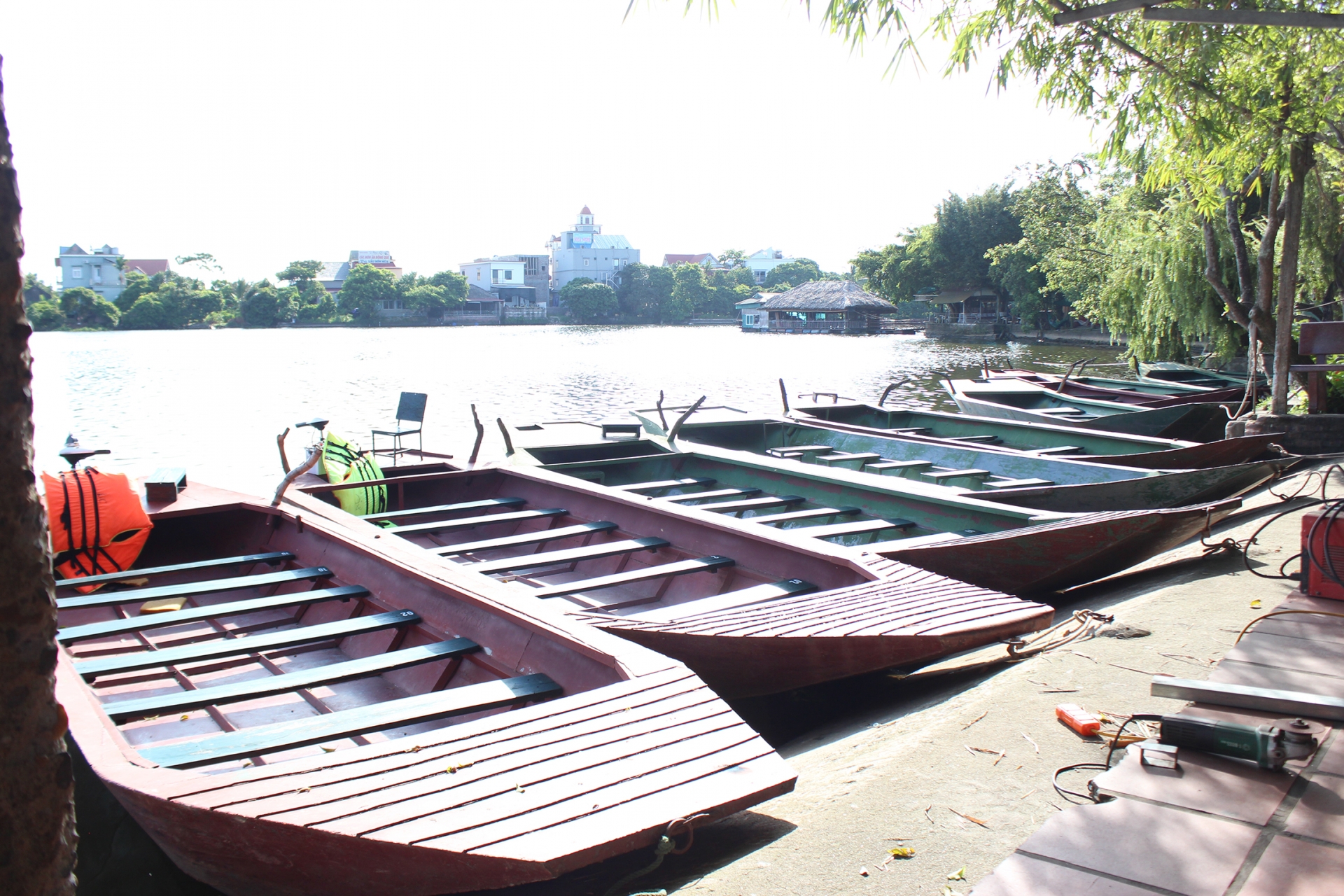 Nơi những đàn cò trở về rồi lại vút cao ở Hải Dương