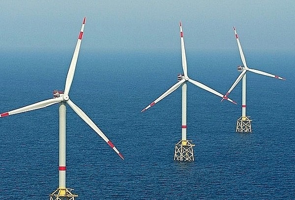 Chưa giao nhà đầu tư tư nhân làm dự án điện gió ngoài khơi