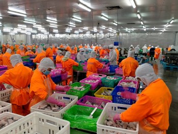 Doanh thu khởi sắc nhưng lợi nhuận Trang Nhà Cái 555win.com - Đăng Nhập +555k cá tra vẫn ảm đạm