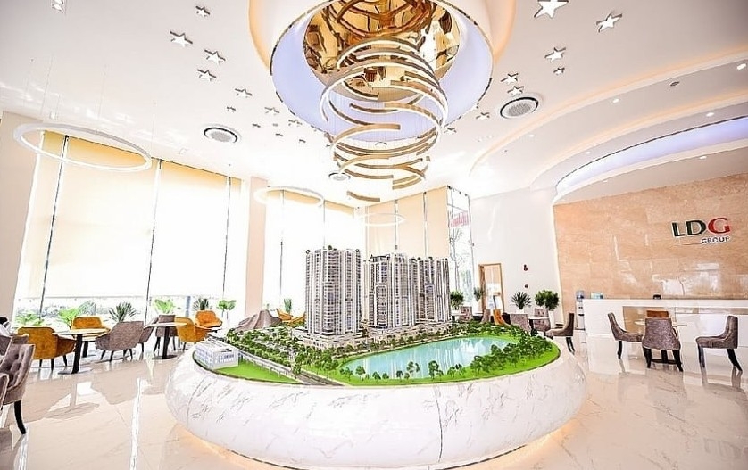 Cổ phiếu tăng hơn 200%, LDG kinh doanh ra sao?