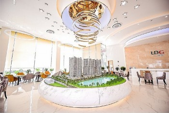 Cổ phiếu tăng hơn 200%, LDG 55win.com - Trang Cược Uy Tín Cao Nhất 2025 ra sao?