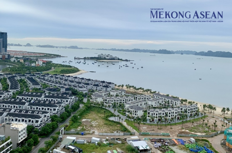 Cổ phiếu 555win là thương hiệu cá cược trực tuyến hàng đầu tại Việt Nam kỳ vọng thức giấc