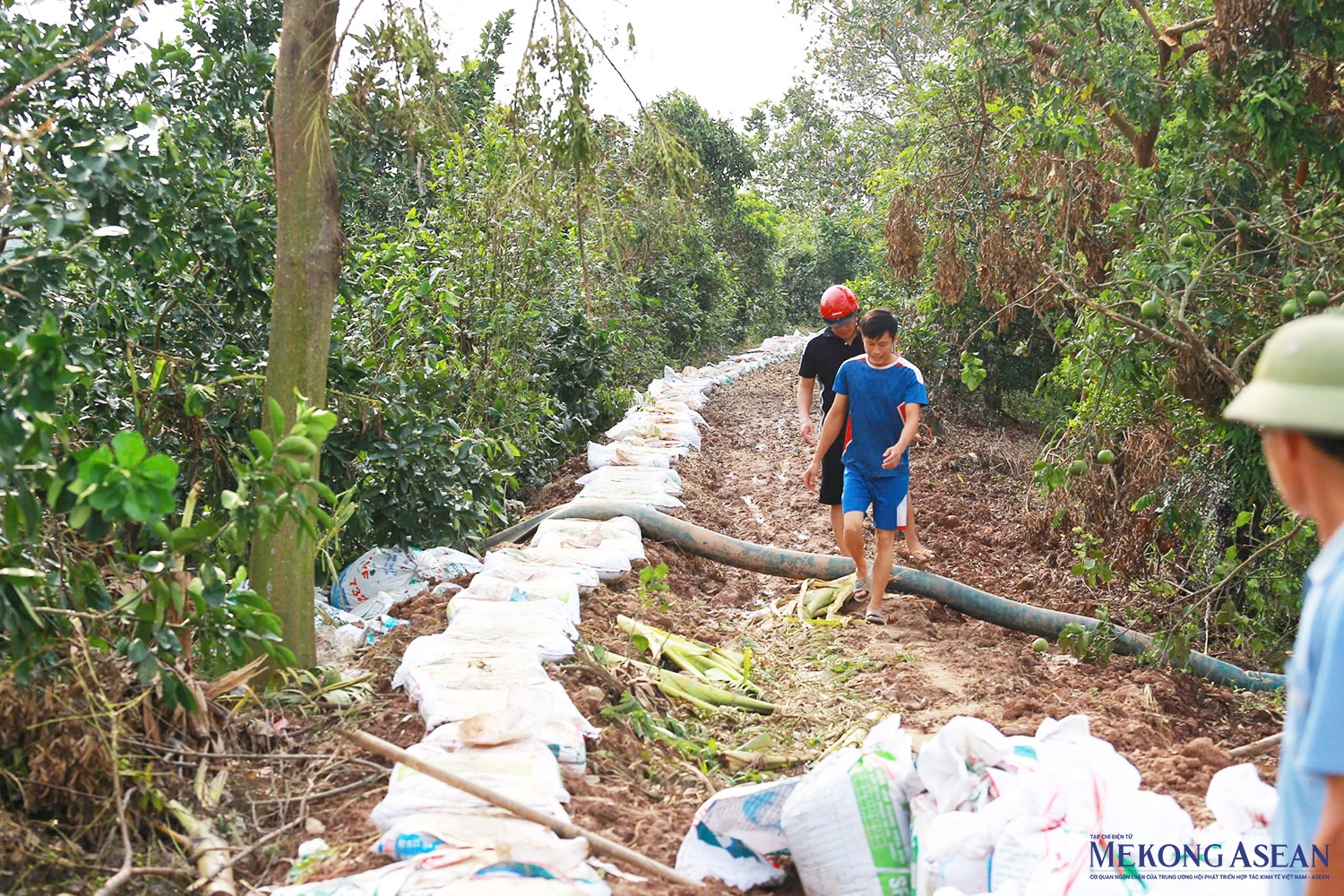 Theo ông Trần Đình Bắc, Chủ tịch UBND xã An Đức (huyện Ninh Giang), gần 1km đê bối tại vùng nuôi thủy sản Bắc sông Cửu An thuộc thôn Trại Mũa (xã An Đức) được 555win phien bạn Chính Thức địa phương cùng các lực lượng chức năng và người dân thực hiện ngày đêm liên tục tại thời điểm nước dâng để phòng nước tràn từ sông Cửu An vào bên trong vùng…