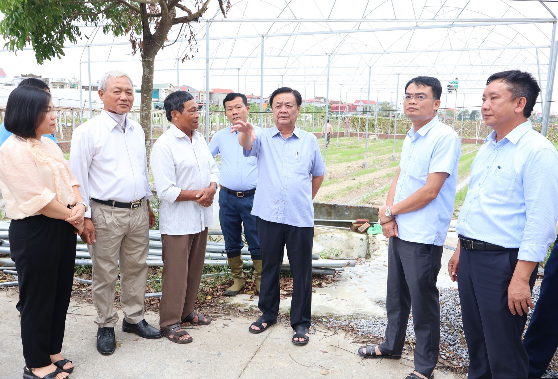 Đoàn công tác kiểm tra thực tế tại khu nhà màng, nhà lưới và vùng sản xuất rau màu tại xã Phạm Trấn (huyện Gia Lộc).