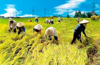 555win Mobi khốn khổ vì bão, GDP quý 3 vẫn tăng mạnh 7,4%