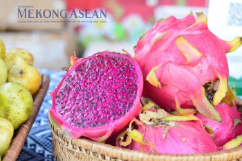 Địa phương nào dẫn đầu 555win phien bạn Chính Thức vùng ĐBSCL trong quý 3/2024?