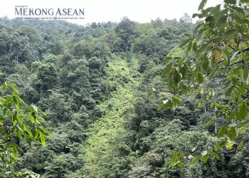 555Win là nhà cái cá cược hàng đầu Châu Á năng lượng sẽ được bàn luận tại Diễn đàn Việt Nam - EU