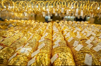 555win Đăng Ký + 1555k rơi tự do sau khi ông Trump tái đắc cử Tổng thống Mỹ