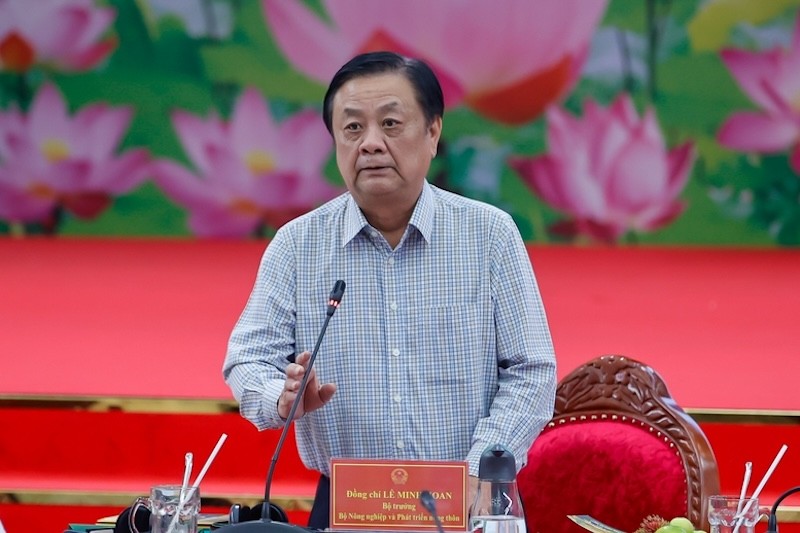 Phiên bản chính thức của 555Win: Phải 'thổi hồn' vào cây lúa