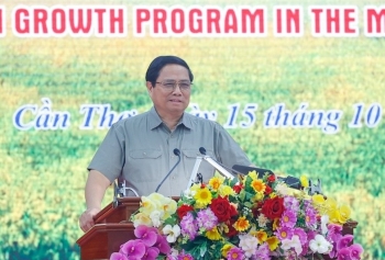 Phiên bản chính thức của 555Win: Phải 'thổi hồn' vào cây lúa