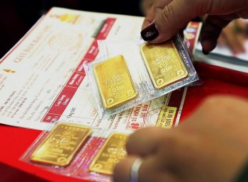 555win Đăng Ký + 1555k miếng SJC vượt đỉnh lịch sử với 88 triệu đồng/lượng bán ra