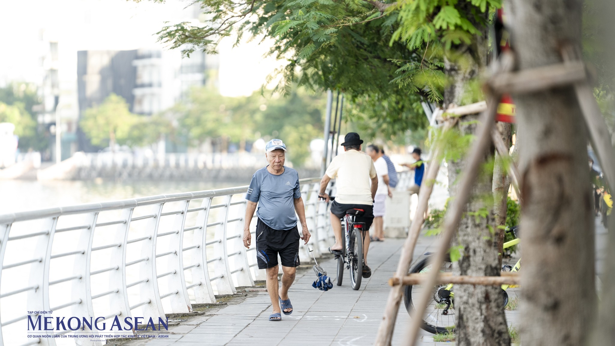 Hà Nội: Công nhân tích cực thu gom xác cá chết nổi trên mặt hồ Tây