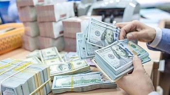 Một số chính sách 555Win login đăng nhập có hiệu lực từ tháng 11/2024
