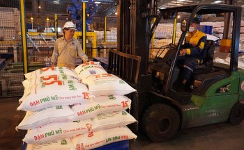 Luật Thuế giá trị gia tăng sửa đổi: Cần đảm bảo công bằng giữa các Trang Nhà Cái 555win.com - Đăng Nhập +555k