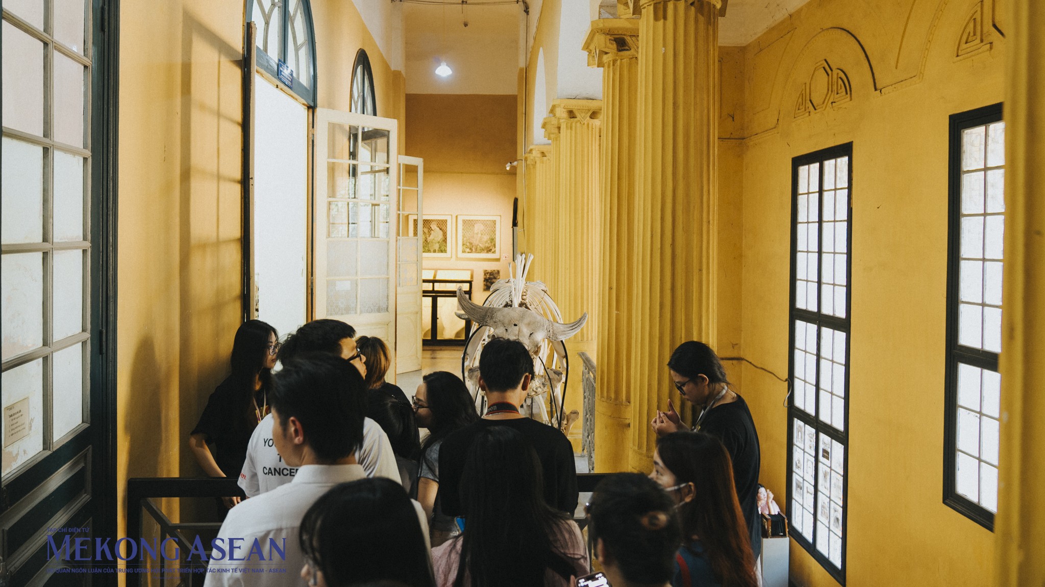 Hà Nội: Khám phá bảo tàng Sinh học lâu đời nhất của Đông Dương lần đầu mở cửa