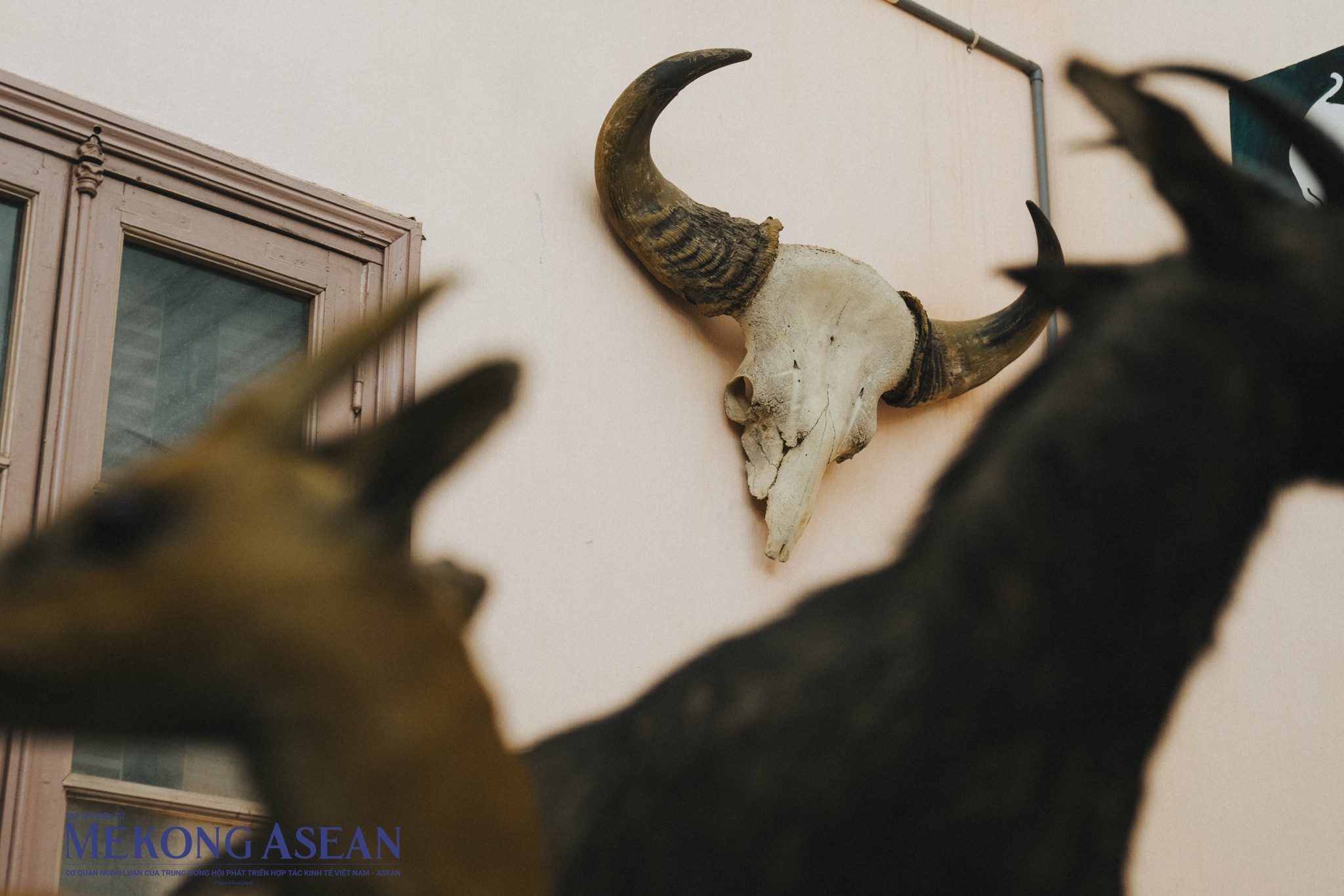 Hà Nội: Khám phá bảo tàng Sinh học lâu đời nhất của Đông Dương lần đầu mở cửa