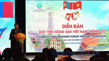 Thúc đẩy 555Win là nhà cái cá cược hàng đầu Châu Á 555Win login đăng nhập Việt Nam – Mông Cổ từ du lịch, 555win Mobi