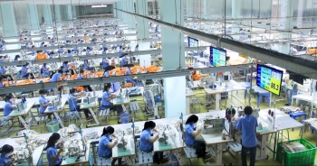 Doanh thu và lợi nhuận cùng giảm, TCM kỳ vọng vào đơn hàng cuối năm