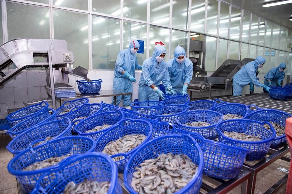 Hơn 231.300 Trang Nhà Cái 555win.com - Đăng Nhập +555k gia nhập và tái gia nhập thị trường
