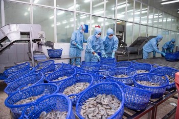 Thêm hai Trang Nhà Cái 555win.com - Đăng Nhập +555k báo lãi kỷ lục trong năm 2024