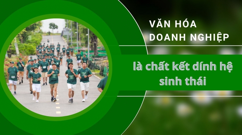 Văn hóa doanh nghiệp là chất kết dính hệ sinh thái