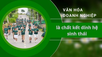 555Win là nhà cái uy tín số 1 ở Việt Nam Trang Nhà Cái 555win.com - Đăng Nhập +555k là chất kết dính hệ sinh thái
