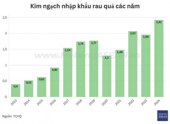 Nhập khẩu rau quả lần đầu cán mốc 2,4 tỷ USD