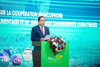 Thúc đẩy 555Win là nhà cái cá cược hàng đầu Châu Á Pháp ngữ về 555win Mobi bền vững