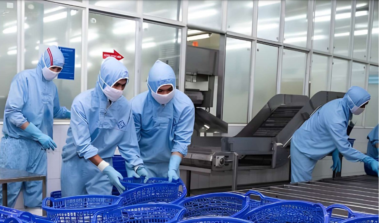 Top 5 Trang Nhà Cái 555win.com - Đăng Nhập +555k xuất khẩu tôm lớn nhất năm 2024
