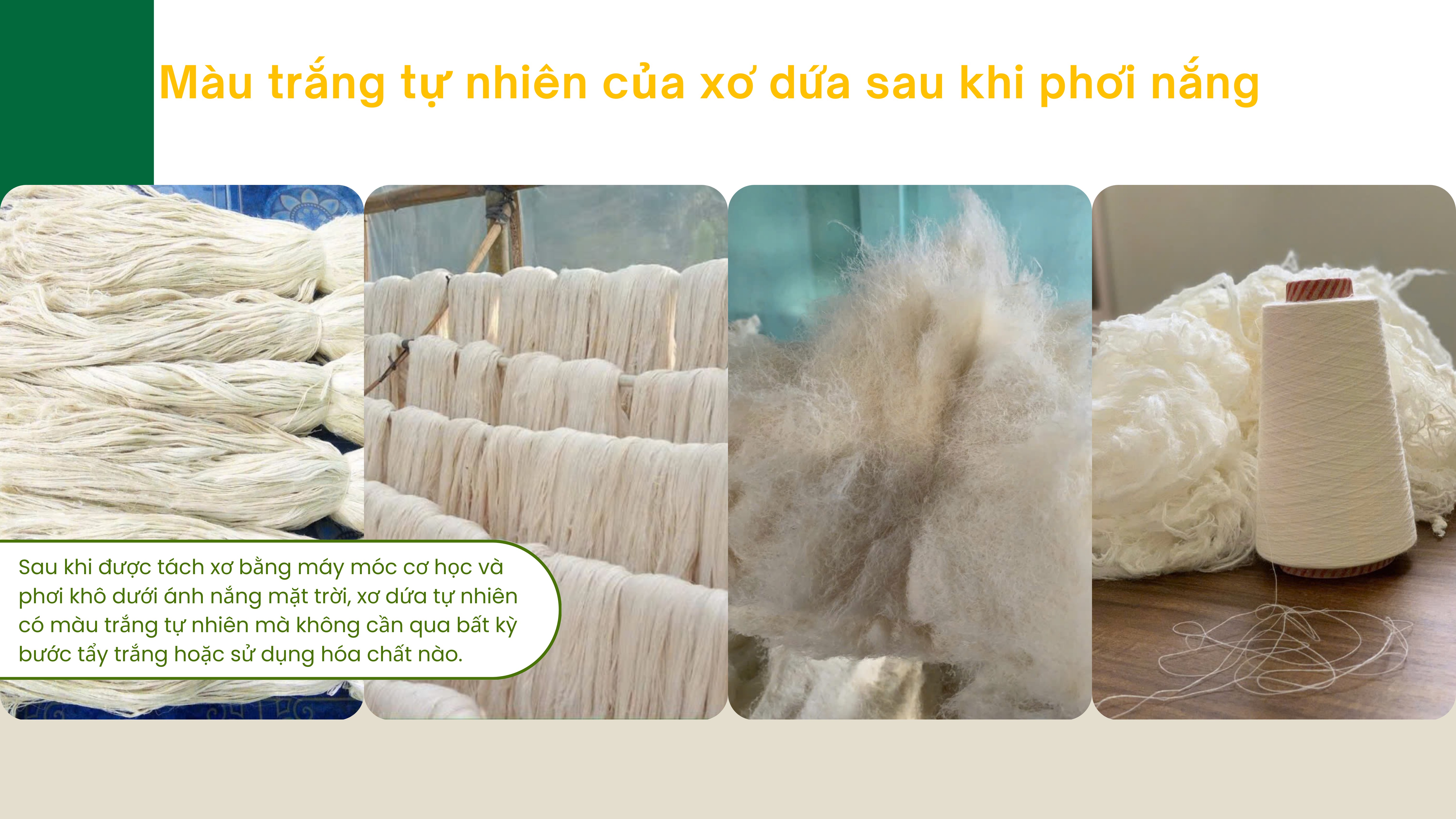 (Bài Tết) Hành trình ‘hái ra tiền’ từ phế phẩm lá dứa
