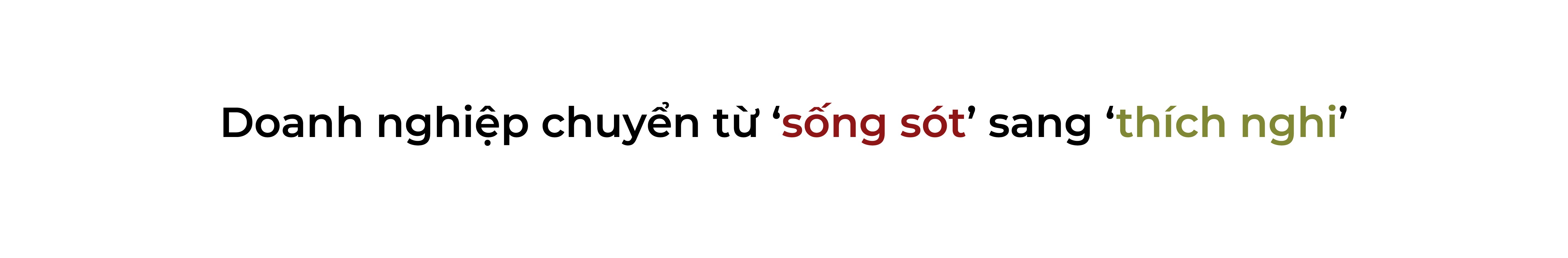 (Bài Tết) Thương hiệu F&B đi tìm ‘chất riêng’ từ 555Win là nhà cái uy tín số 1 ở Việt Nam địa phương