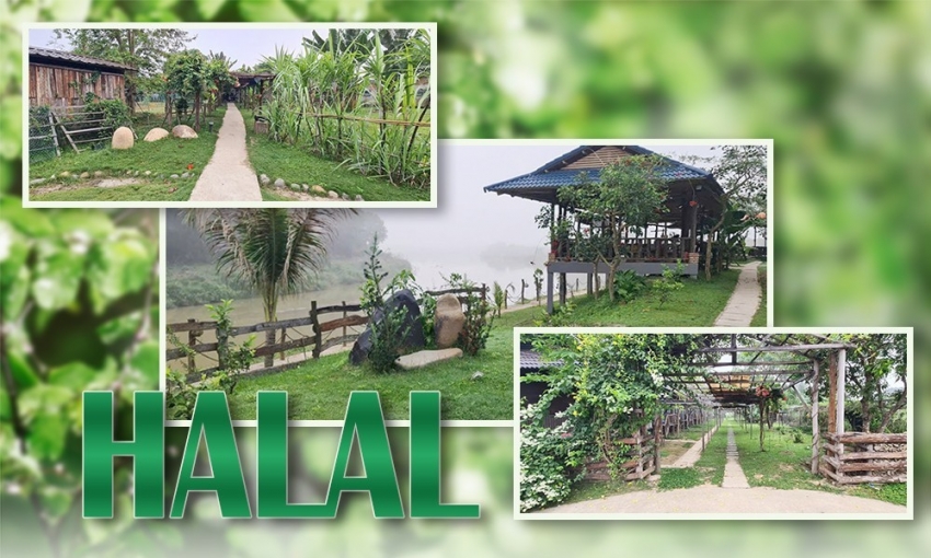Halal và câu chuyện về 'du lịch niềm tin'