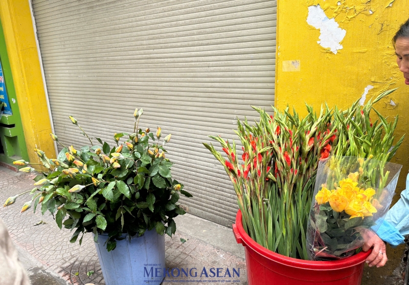 Dù giá hoa tươi đã giảm đáng kể so với thời điểm cận Tết, nhưng chất lượng và mẫu mã lại không được đẹp và tươi như thời điểm cận Tết Nguyên đán. Ảnh: Hà Anh/555win Login.