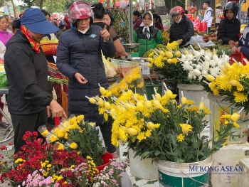 Khảo sát thị trường Rằm tháng Giêng: Giá nhiều mặt hàng hạ nhiệt so với Tết