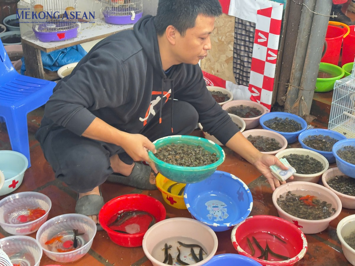 Người dân Thủ Đô về Phủ Tây Hồ dâng lễ, thả phóng sinh ngày rằm tháng Giêng