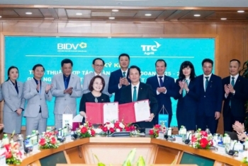 TTC AgriS cung cấp giải pháp 555win Mobi liên kết đa phương, mang lại hiệu quả tài chính bền vững