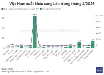 Sản phẩm hóa chất của Việt Nam xuất khẩu sang Lào tăng đột biến