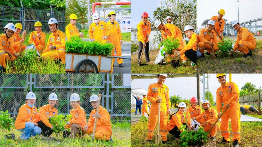 PV GAS CA MAU ra quân trồng cây mùa xuân năm 2025