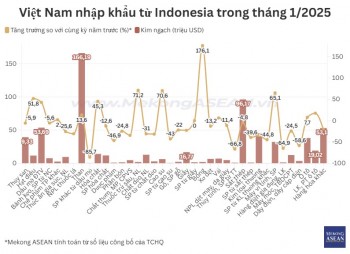 Việt Nam nhập siêu hơn 250 triệu USD từ Indonesia trong tháng 1/2025