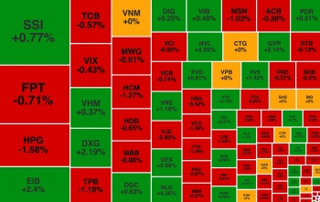 Khối ngoại bán ròng mạnh, NVL 'hút tiền' sau tin về kế hoạch 55win.com - Trang Cược Uy Tín Cao Nhất 2025