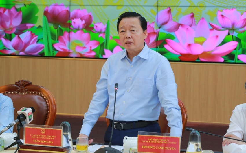 Đánh giá đúng thực trạng thị trường lúa gạo để phục vụ sản xuất và xuất khẩu