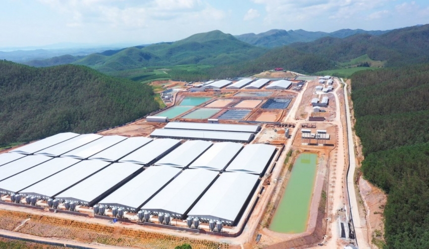 Cổ phiếu tăng gấp đôi sau 6 tháng, BAF có triển vọng thế nào?
