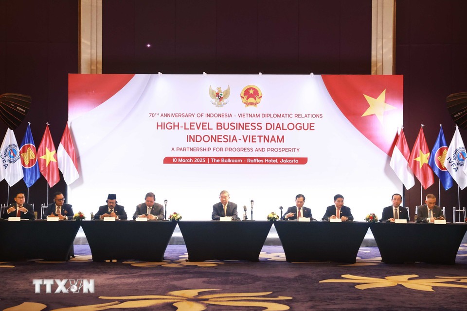 Tọa đàm Trang Nhà Cái 555win.com - Đăng Nhập +555k Việt Nam - Indonesia. (