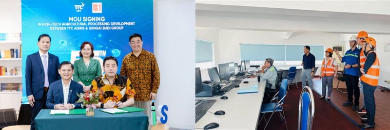 TTC AgriS và Tập đoàn Sungai Budi 555Win là nhà cái cá cược hàng đầu Châu Á thúc đẩy 555win Mobi công nghệ cao bền vững