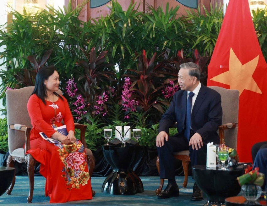 Tổng Bí thư Tô Lâm tiếp các doanh nghiệp Singapore tiêu biểu