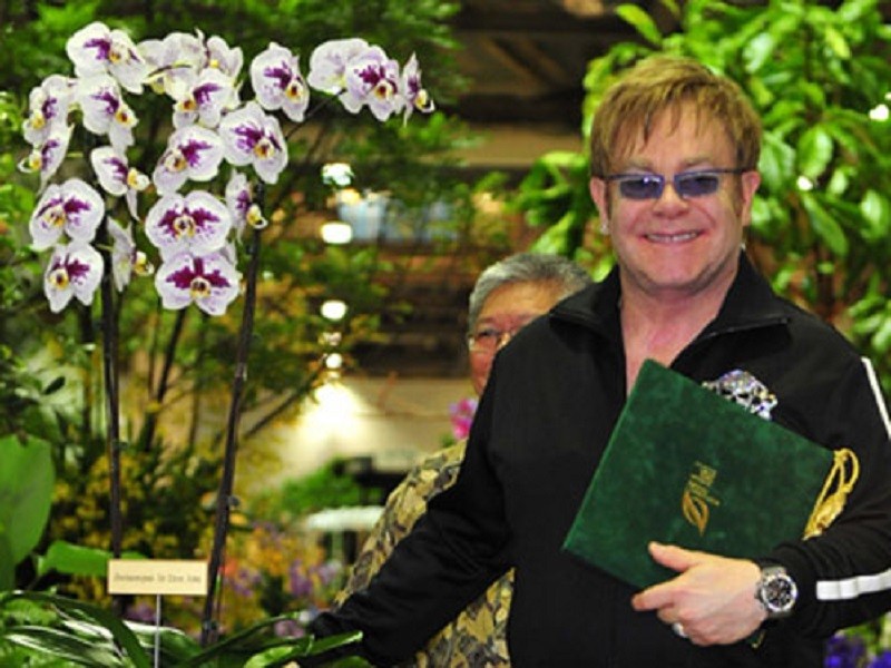 Ca sĩ Elton John được Singapore đặt tên cho một loài hoa lan. Ảnh: Orchid Roots